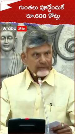 గుంతలు పూడ్చేందుకే రూ.600 కోట్లు