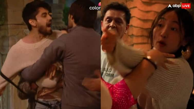 Avinash Explosive Fight with Chum Darang: Bigg Boss 18 Shocker!