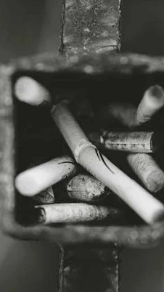 पहले बीड़ी बनी या फिर सिगरेट?