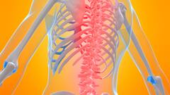 World Spine Day 2024: বিশ্ব মেরুদণ্ড দিবস কেন পালন করা হয়? এবছর দেওয়া হল 'বিশেষ বার্তা'ও!