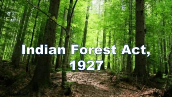 इसीलिए भारत में बिना परमिशन के पेड़ काटना गैरकानूनी है. भारतीय वन कानून 1927 के सेक्शन 78 के तहत ऐसा करने पर पर्यावरण कोर्ट में मामला दर्ज किया जा सकता है. अगर आप अपने घर के सामने का पेड़ भी काटना चाह रहे हैं तो उसके लिए परमिशन लेनी होगी.