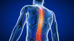 World Spine Day 2024: বিশ্ব মেরুদণ্ড দিবস কেন পালন করা হয়? এবছর দেওয়া হল 'বিশেষ বার্তা'ও!