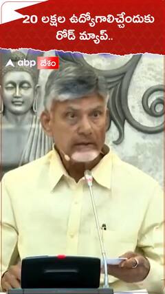 20 లక్షల ఉద్యోగాలిచ్చేందుకు రోడ్‌ మ్యాప్..