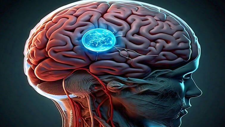 Unique Drug Delivery Method to Improve Treatment of Brain Tuberculosis மூளை காசநோய்க்கு புதிய சிகிச்சை முறை.. விஞ்ஞானிகள் அசத்தல்!