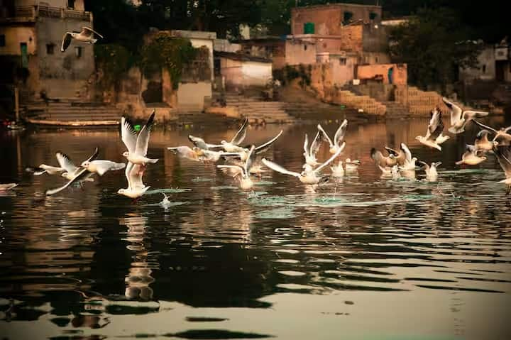 गंगा नदी की एक प्रमुख सहायक नदी, अलकनंदा हिमालय में सतोपंथ और भागीर ग्लेशियरों के संगम से निकलती है। आपको बता दें कि यह नदी बद्रीनाथ धाम से निकलकर देवप्रयाग में भागीरथी नदी में मिल जाती है और गंगा के रूप में बहती है।