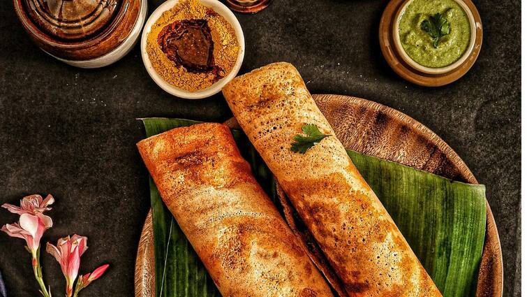 Sprouts & Palak dosa Recipe in Tamil Healthy Breakfast Quick and Delicious Sprouts & Palak dosa: ஊட்டச்சத்து நிறைந்த பச்சை பயறு, பாலக்கீரை தோசை - இதோ ரெசிபி!