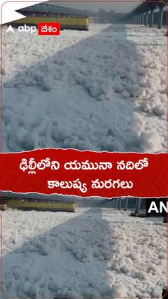 ఢిల్లీలోని యమునా నదిలో కాలుష్య నురగలు