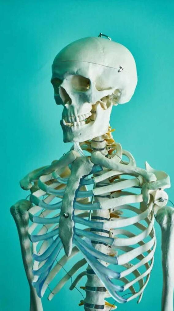 गले के बीच में हड्डी क्यों निकली होती है?