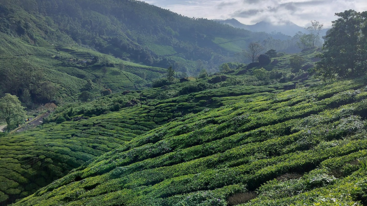 Exploring South India: The Enchanting Beauty Of Kerala