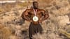 When Samson Dauda, Mr Olympia 2024 Champion, Almost Quit Bodybuilding