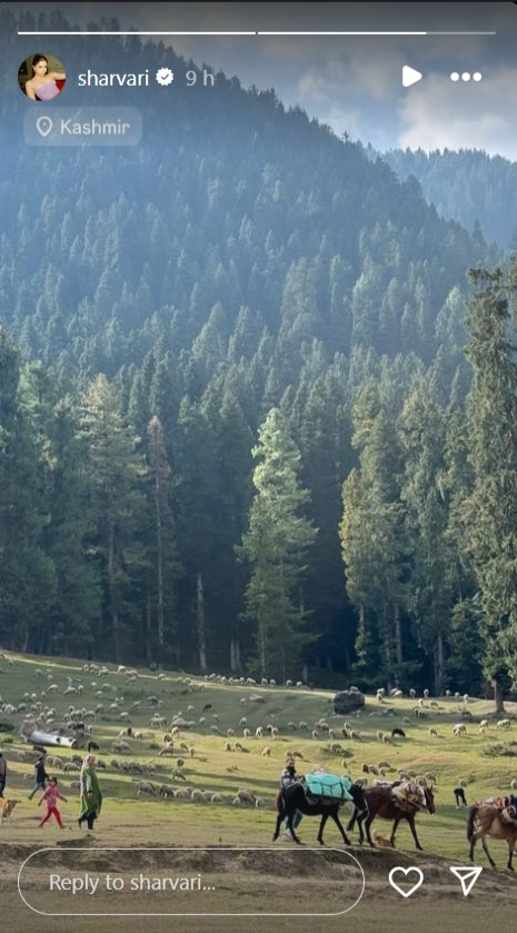 Alia Bhatt Shoots In Kashmir For Upcoming Film 'Alpha' Amid Controversy Surrounding 'Jigra