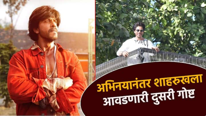 Shahrukh Khan: बॉलिवूडचा बादशहा किंग खान म्हणजे शाहरुख खान, हा जरी सुपरस्टार असला तरी त्याला स्वच्छता लागते. कुटुंबातील सदस्य हे त्याच्या अभिनयायापेक्षा स्वच्छतेचे चाहते आहेत.