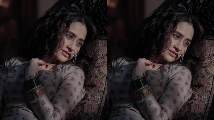 संजीदा शेख हिरामंडी या वेबसिरीजमध्ये झळकली, ज्यामध्ये तिने बोल्ड सीन दिले आहेत.