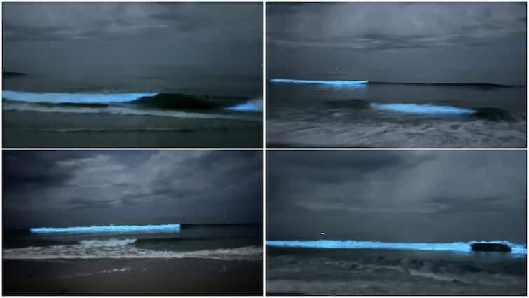 Blue sparkling sea at Marakanam beach திடீரென நீல நிறத்தில் ஜொலித்த கடல்... பார்த்து ரசித்த பொதுமக்கள்! காரணம் என்ன?