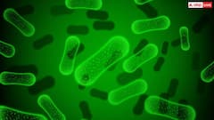 इस बीमारी के चलते अमेरिका में वापस किए जा रहे करोड़ों अंडे, जानें कितनी खतरनाक