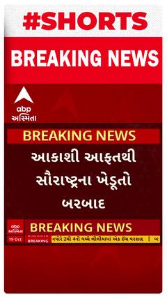 Saurashtra Farmer: આકાશી આફતથી સૌરાષ્ટ્રના ખેડૂતો બરબાદ, પાછોતરા વરસાદે વેર્યો વિનાશ
