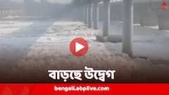 দীপাবলির আগে তথৈবচ অবস্থা, দূষণের প্রকোপে রাজধানী দিল্লি, বিষাক্ত ফেনায় ঢাকল যমুনা