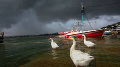 Weather Update: কালীপুজোর আগে বঙ্গোপসাগরে ঘূর্ণিঝড়ের আশঙ্কা ? আগামীকাল সতর্কতার আওতায় কোন কোন জেলা ?