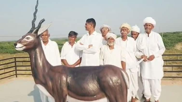 Bishnoi Community Erects Black Buck Statue In Kankani Village Amid ...