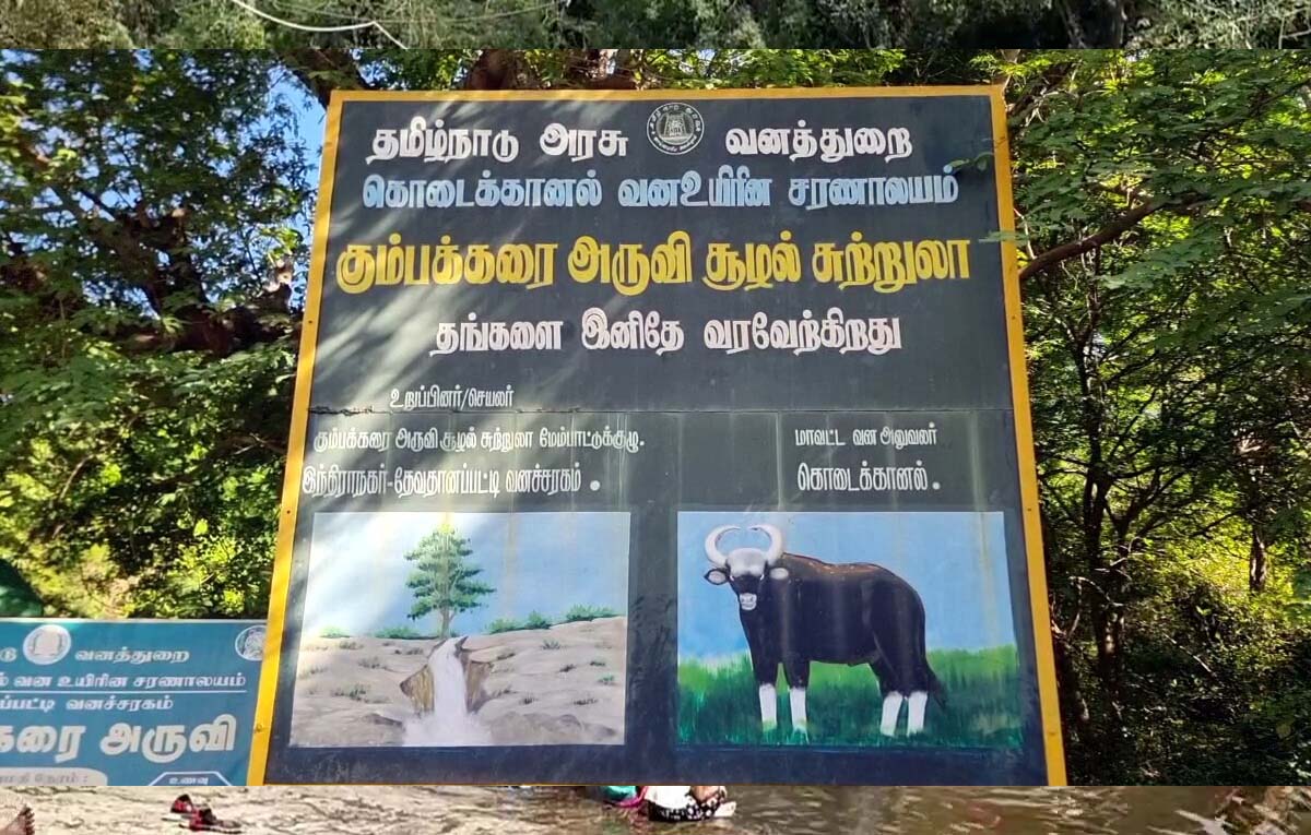 கும்பக்கரை அருவியில் 7 நாட்களுக்குப் பின்பு சுற்றுலா பயணிகள் குளிக்க அனுமதி