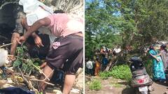 सांगलीत भर निवडणुकीत गावच्या ओढ्याला आला पैशांचा पूर, नोटा गोळा करण्यासाठी नागरिकांची उडाली झुंबड!