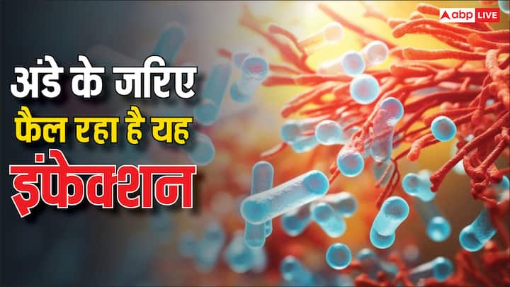 अंडे साल्मोनेला जैसे बैक्टीरिया से भरे होते हैं. जो फूड प्वाइजनिंग बीमारी का कारण बन सकते हैं. अंडे से बीमार होने के जोखिम को कम करने के कुछ तरीके यहां दिए गए हैं.