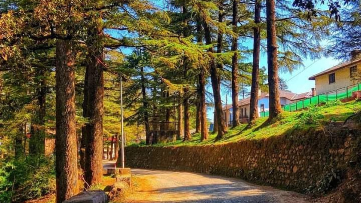 6 Lesser Known Beautiful Places To Visit In Dehradun