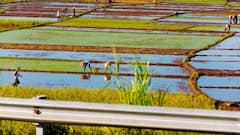 ​कृषि यंत्रों पर नेचुरल फार्मिंग करने वाले किसानों को मिलेगा अनुदान, जानें कितना मिलेगा फायदा