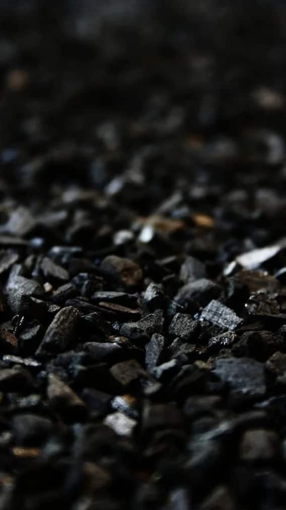 क्या सच में कोयला और राख नदियों का पानी साफ करता है