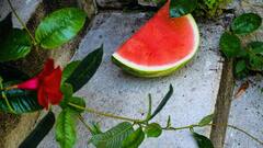 Watermelon Skin Care:சருமம் பொலிவுடன் இருக்க தர்பூசணி சாறு பயன்படுத்துங்க - இதோ டிப்ஸ்!