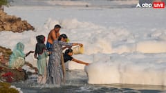 यमुना में बार-बार क्यों नजर आता है सफेद झाग, दूसरी नदियों में ऐसा क्यों नहीं होता?