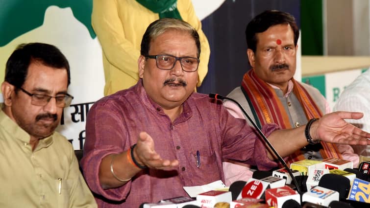 Jharkhand Election 2024 — ‘RJD Could Contest Alone, However Will Again INDIA On…’: Manoj Jha