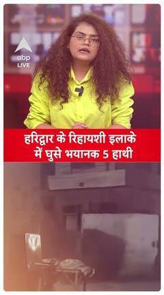 Five Wild Elephants Storm Into Residential Area In Haridwar, Creating Panic | ABP LIVE