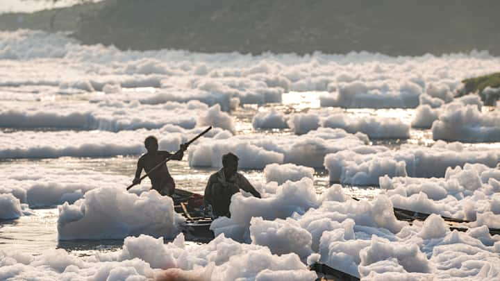 Delhi Yamuna Water: पिछले कुछ दिनों एक बार फिर दिल्ली की यमुना में जहरीले झाग दूर तक फैले नजर आने लगे हैं. वायरल वीडियो में देखें छठ पूजा से पहले इस बार कैसा है यमुना के पानी का नजारा?