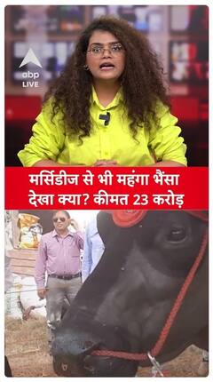 Buffalo In Meerut Costs More Than A Mercedes? Priced At A Staggering ₹23 Crore | ABP LIVE