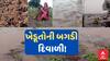 Saurashtra Rain Effect : સૌરાષ્ટ્રમાં પાછોતરા વરસાદથી ખેડૂતોની બગડી દિવાળી, ક્યાં કેટલું નુકસાન?