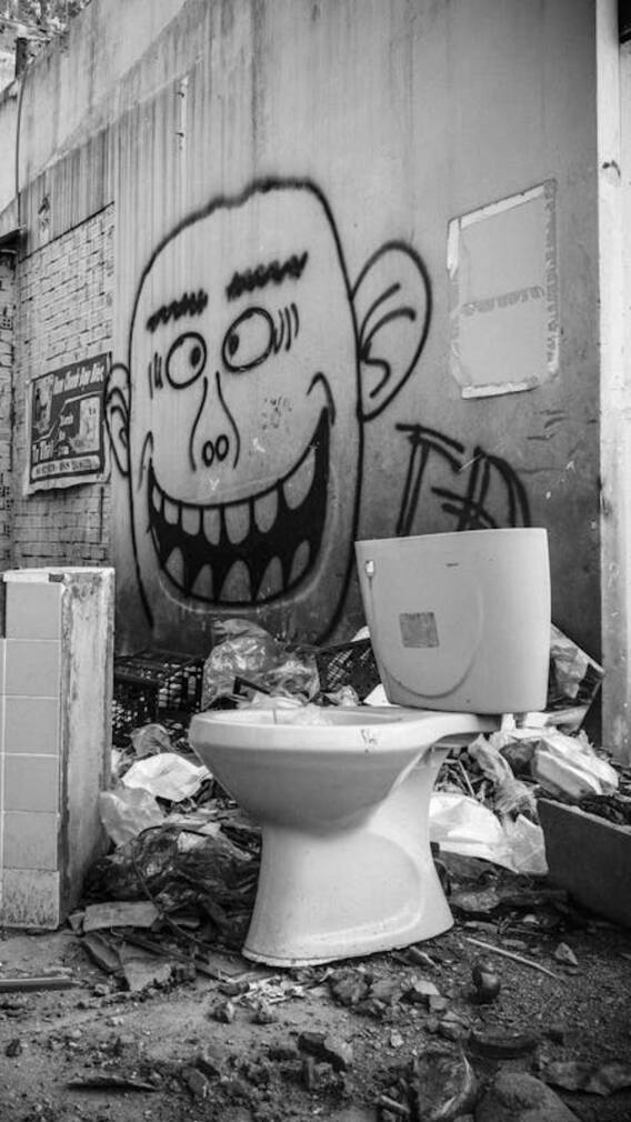 पब्लिक टॉयलेट यूज करना कितना ज्यादा खतरनाक?