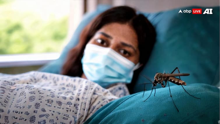 Mosquitoes not only spread dengue and malaria, they can also cause serious harm to you.