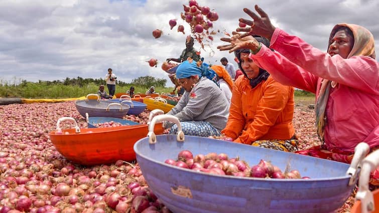 Heavy Rains and Supply Issues Hit Onion Prices in India