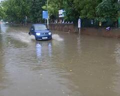 Rain Update: અમદાવાદમાં વહેલી સવારથી ગાજવીજ સાથે વરસાદ, વૃક્ષો ધરાશાયી, રસ્તા થયા પાણી પાણી