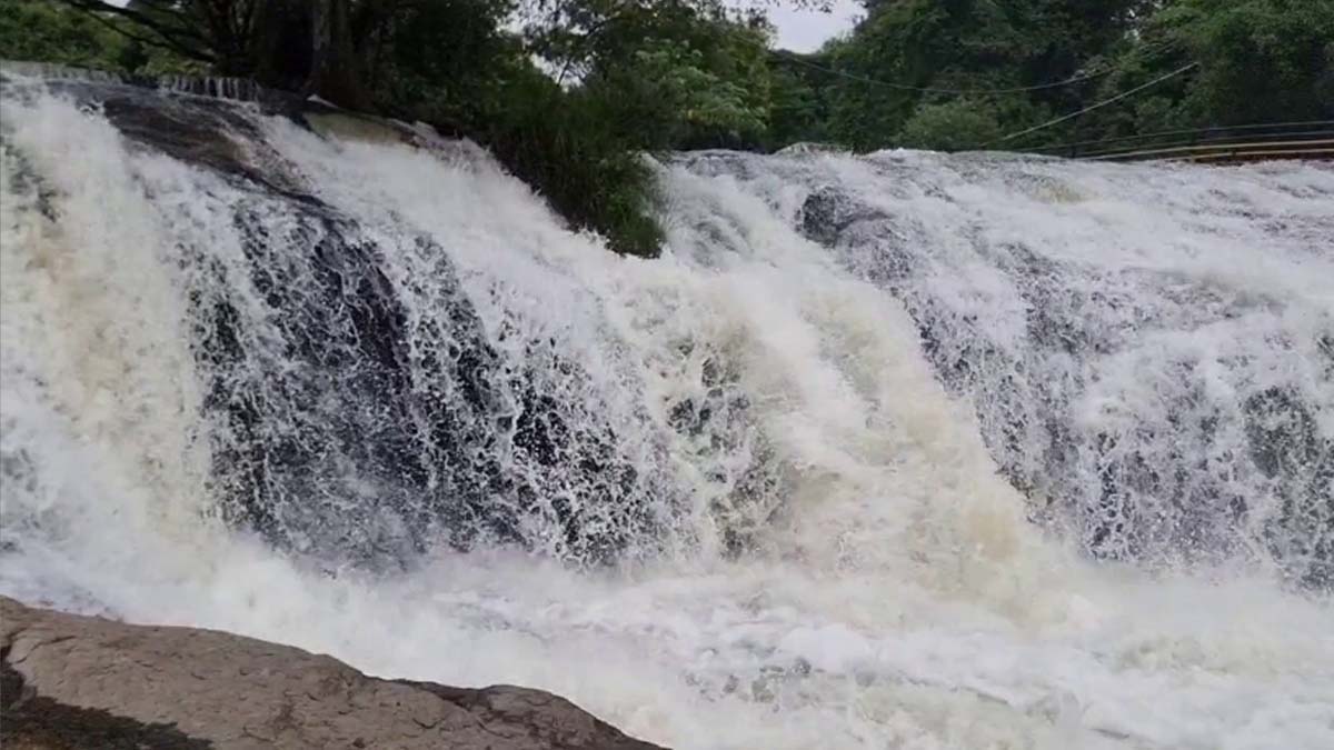 கொட்டும் பருவமழையால் தேனி மாவட்டத்தில் பல்வேறு இடங்களில் வெள்ளப்பெருக்கு