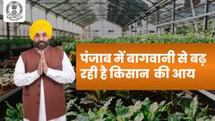 पंजाब में बागवानी से बढ़ रही है किसानों की आय