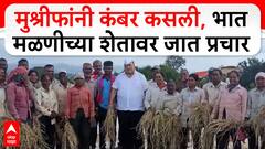 Hasan Mushrif Kolhapur : मुश्रीफांनी कंबर कसली, भात मळणीच्या शेतावर जात प्रचार ABP MAJHA