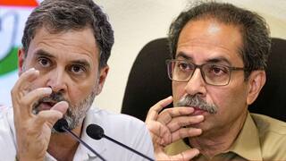 विदर्भावरून घमासान! काँग्रेसच्या नेत्यांचं दिल्लीत ठाण, तर ठाकरे गट भूमिकेवर ठाम; मविआचा वाद हायकमांड सोडवणार?