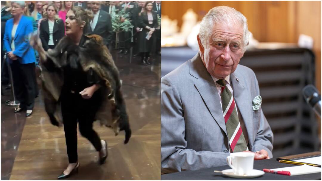 'You're Not Our King': Indigenous Senator Heckles King Charles In Australia Parliament 'You're Not Our King': Indigenous Senator Heckles King Charles In Australia Parliament
