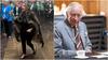 'You're Not Our King': Indigenous Senator Heckles King Charles In Australia Parliament