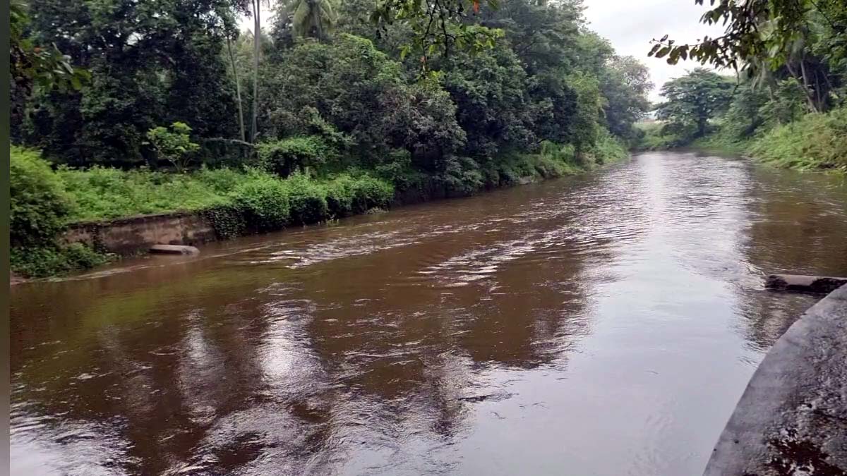 கொட்டும் பருவமழையால் தேனி மாவட்டத்தில் பல்வேறு இடங்களில் வெள்ளப்பெருக்கு