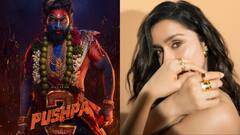 अल्लू अर्जुन की ‘पुष्पा 2’ में होगा डबल धमाल, एक्टर संग बॉलीवुड की इस हसीना का दिखेगा सिजलिंग अवतार?