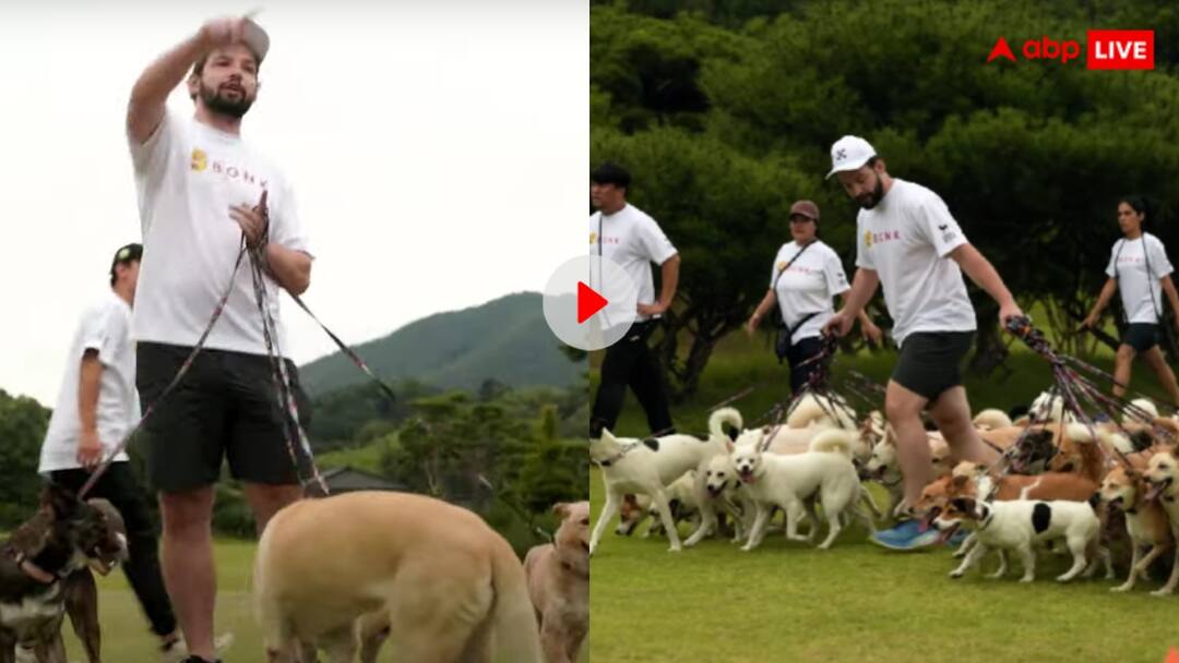 38 कुत्तों को एक साथ लेकर इतनी दूर तक टहलने निकल गया शख्स, टूट गया ये वर्ल्ड रिकॉर्ड Michelle Rudy of Canada registered her name in the Guinness Book of Records by walking 38 dogs simultaneously 38 कुत्तों को एक साथ लेकर इतनी दूर तक टहलने निकल गया शख्स, टूट गया ये वर्ल्ड रिकॉर्ड