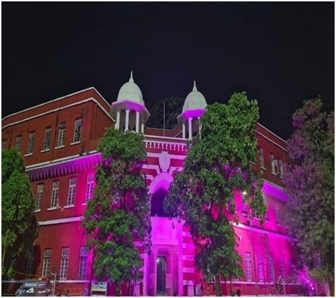 वडोदरा शहर की एक प्रमुख विशेषता एम.एस. विश्वविद्यालय, कीर्ति मंदिर, न्याय मंदिर और लक्ष्मीविलास पैलेस को आकर्षक और विशेष रोशनी से सजाया गया है और रंग-रोगन भी किया जा रहा है। इसके साथ ही वडोदरा की मुख्य सड़कों के दोनों ओर दीवारों पर चित्रित भित्तिचित्र पेंटिंग आकर्षण का केंद्र बन रही हैं।
